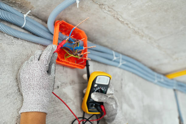 Best Electric Panel Repair  in Tatamy, PA